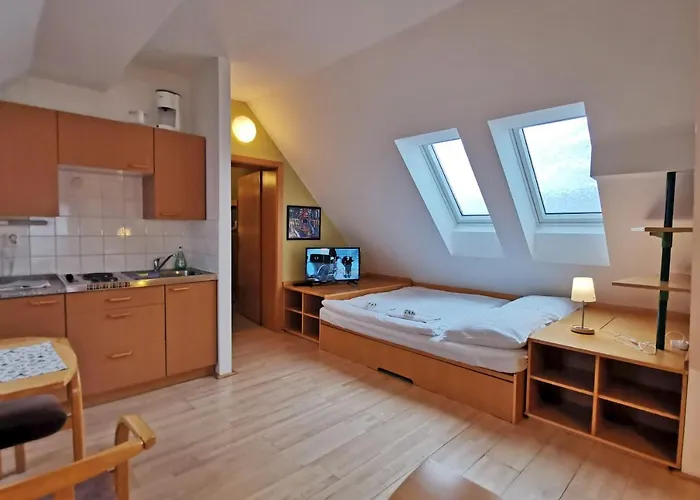 Apartment Rokytnice